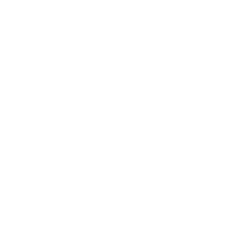 Customized Tech Solutions