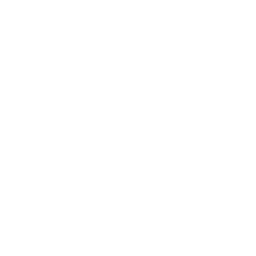 AI Icon