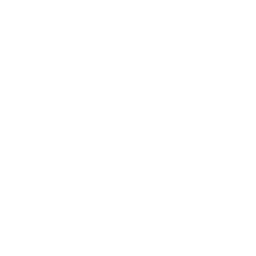 Tech Solutions Developed Icon