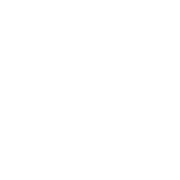 Software Development