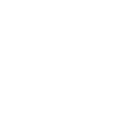 Business Partnership Icon