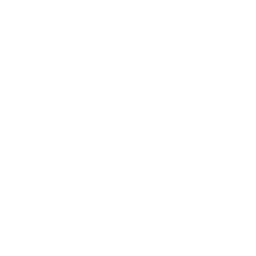 IoT Icon