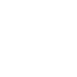 Financial Management